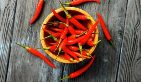 اخبارگوناگون,خبرهای گوناگون , دانستنیهای جالب اخبارگوناگون,خبرهای گوناگون , دانستنیهای جالب
