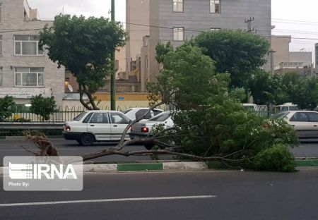 اخباراجتماعی ,خبرهای اجتماعی ,هواشناسی اخبار اجتماعی ,خبرهای اجتماعی,هواشناسی