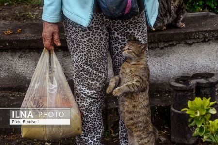 اخبار پزشکی ,خبرهای پزشکی ,مهربانی با حیوانات اخبار پزشکی ,خبرهای پزشکی,مهربانی با حیوانات