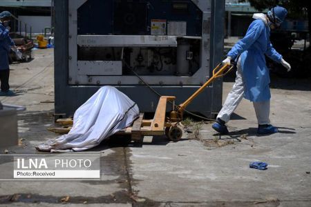 اخبار پزشکی ,خبرهای پزشکی ,تلفات جنگ جهانی با کرونا ویروس اخبار پزشکی ,خبرهای پزشکی,تلفات جنگ جهانی با کرونا ویروس