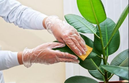 اخبار پزشکی ,خبرهای پزشکی , ویروس کرونا اخبار پزشکی ,خبرهای پزشکی, ویروس کرونا