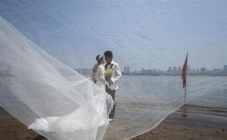 اخبارگوناگون,خبرهای گوناگون , اخبارگوناگون,خبرهای گوناگون ,