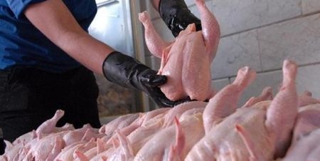 اخباراقتصادی ,خبرهای اقتصادی , مرغ و گوشت اخباراقتصادی ,خبرهای اقتصادی, مرغ و گوشت