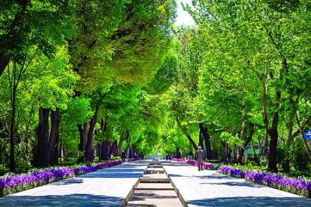 اخباراجتماعی ,خبرهای اجتماعی , اخبار اجتماعی ,خبرهای اجتماعی,