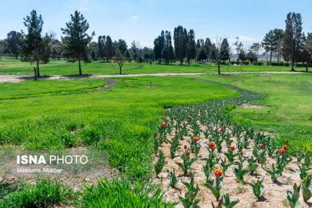 اخباراجتماعی ,خبرهای اجتماعی , کاخ مروارید اخبار اجتماعی ,خبرهای اجتماعی, کاخ مروارید