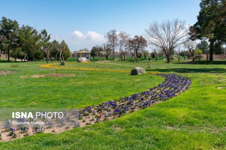 اخباراجتماعی ,خبرهای اجتماعی , کاخ مروارید اخبار اجتماعی ,خبرهای اجتماعی, کاخ مروارید