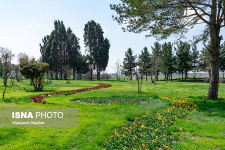 اخباراجتماعی ,خبرهای اجتماعی , کاخ مروارید اخبار اجتماعی ,خبرهای اجتماعی, کاخ مروارید