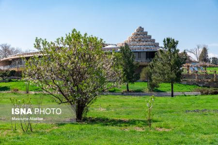 اخباراجتماعی ,خبرهای اجتماعی , کاخ مروارید اخبار اجتماعی ,خبرهای اجتماعی, کاخ مروارید