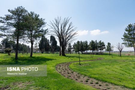 اخباراجتماعی ,خبرهای اجتماعی , کاخ مروارید اخبار اجتماعی ,خبرهای اجتماعی, کاخ مروارید