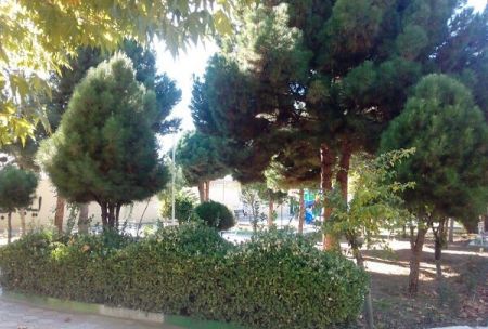 اخباراجتماعی ,خبرهای اجتماعی , شهرداری تهران اخبار اجتماعی ,خبرهای اجتماعی, شهرداری تهران
