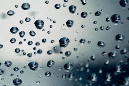اخبارگوناگون,خبرهای گوناگون ,شادترین حقایق اخبارگوناگون,خبرهای گوناگون ,شادترین حقایق