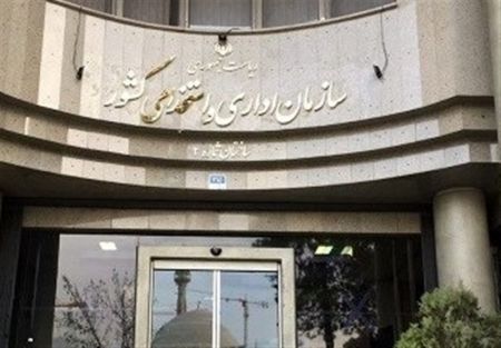 اخباراجتماعی ,خبرهای اجتماعی ,کارکنان اخبار اجتماعی ,خبرهای اجتماعی,کارکنان