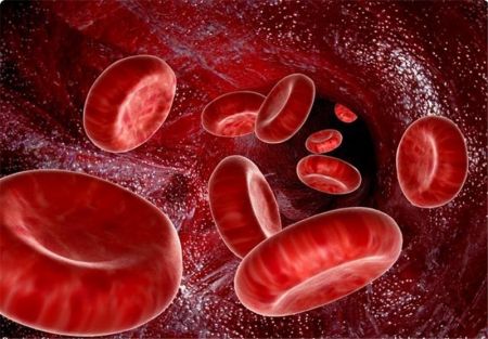 اخبار,اخبار پزشکی,لختههای خون اخبار,اخبار پزشکی,لختههای خون