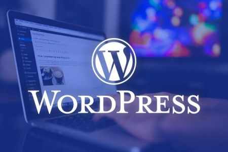 اخبار,اخبار اجتماعی,کلاهبرداری جدید در وبسایتهای وردپرس اخبار,اخبار اجتماعی,کلاهبرداری جدید در وبسایتهای وردپرس
