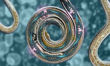 اخبار,اخبار پزشکی,آسیب دیدن DNA اخبار,اخبار پزشکی,آسیب دیدن DNA