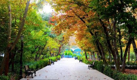 اخبار,اخبار اجتماعی,بازگشایی بوستانهای تهران اخبار,اخبار اجتماعی,بازگشایی بوستانهای تهران