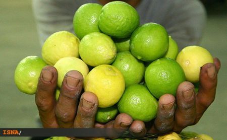 اخباراقتصادی ,خبرهای اقتصادی ,لیموترش اخباراقتصادی ,خبرهای اقتصادی,لیموترش