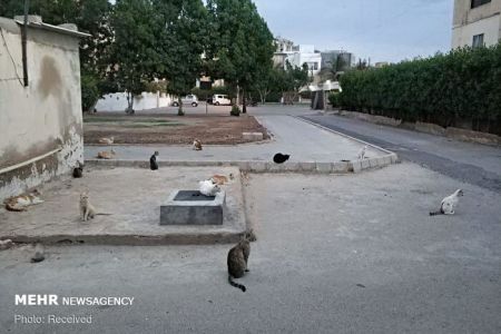 اخبارگوناگون,خبرهای گوناگون ,فاصله گذاری اخبارگوناگون,خبرهای گوناگون ,فاصله گذاری