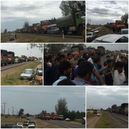 اخباراقتصادی ,خبرهای اقتصادی ,گوجه فرنگی اخباراقتصادی ,خبرهای اقتصادی,گوجه فرنگی