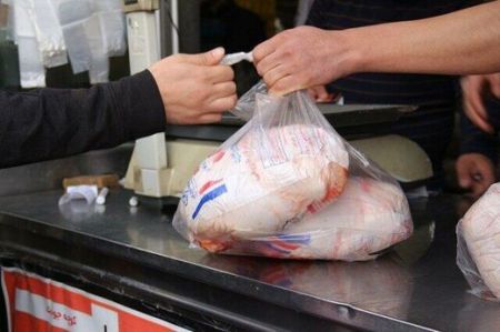 اخباراقتصادی ,خبرهای اقتصادی , مرغ و بوقلمون اخباراقتصادی ,خبرهای اقتصادی, مرغ و بوقلمون