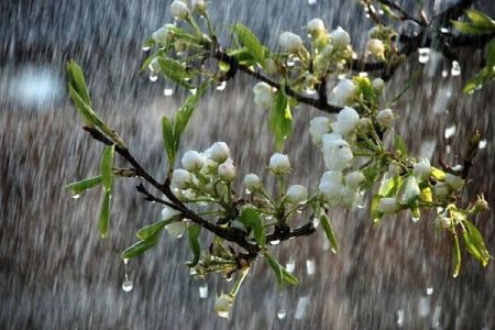 اخباراجتماعی ,خبرهای اجتماعی , اخبار اجتماعی ,خبرهای اجتماعی,
