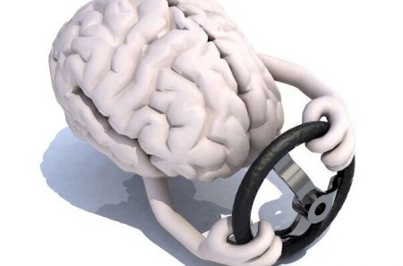 اخبار پزشکی ,خبرهای پزشکی , مغز موش اخبار پزشکی ,خبرهای پزشکی, مغز موش