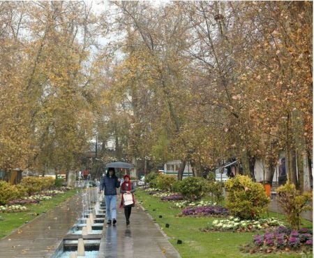 اخباراجتماعی ,خبرهای اجتماعی ,بارش باران اخبار اجتماعی ,خبرهای اجتماعی,بارش باران