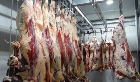 اخبار پزشکی ,خبرهای پزشکی , تب کریمه کنگو اخبار پزشکی ,خبرهای پزشکی, تب کریمه کنگو
