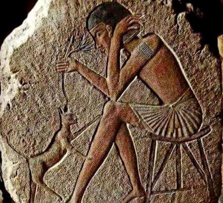 اخبار,اخبار گوناگون,گربه اخبار,اخبار گوناگون,گربه