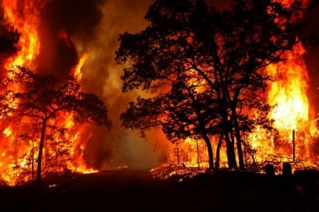 اخبار,اخبار حوادث,آتش‌سوزی در جنگل‌های گچساران