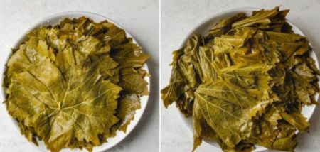 اخبار,اخبار گوناگون اخبار,اخبار گوناگون