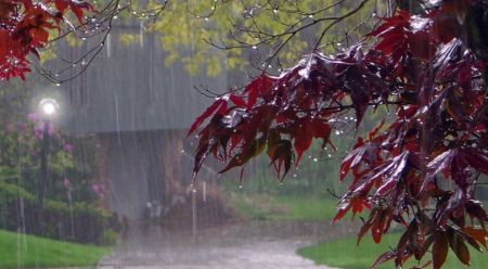 اخبار,اخبار اجتماعی,هواشناسی ایران