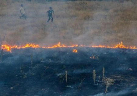 اخبار,اخبار حوادث,آتش سوزی جنگل های ایران