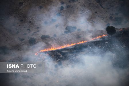 عکس خبری,آتش سوزی جنگل های خائیز