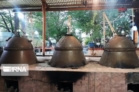 اخباراجتماعی ,خبرهای اجتماعی ,گل و گلاب اخبار اجتماعی ,خبرهای اجتماعی,گل و گلاب