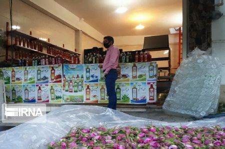 اخباراجتماعی ,خبرهای اجتماعی ,گل و گلاب اخبار اجتماعی ,خبرهای اجتماعی,گل و گلاب