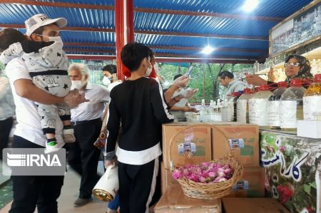اخباراجتماعی ,خبرهای اجتماعی ,گل و گلاب اخبار اجتماعی ,خبرهای اجتماعی,گل و گلاب