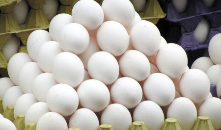 اخباراقتصادی ,خبرهای اقتصادی , قیمت تخم مرغ اخباراقتصادی ,خبرهای اقتصادی, قیمت تخم مرغ