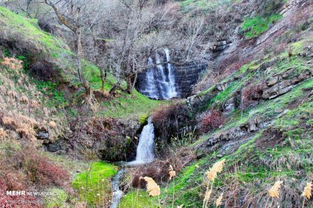  اخبارگوناگون,خبرهای گوناگون ,دشت مغان