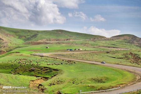 اخبارگوناگون,خبرهای گوناگون ,دشت مغان اخبارگوناگون,خبرهای گوناگون ,دشت مغان