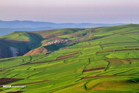اخبارگوناگون,خبرهای گوناگون ,دشت مغان اخبارگوناگون,خبرهای گوناگون ,دشت مغان