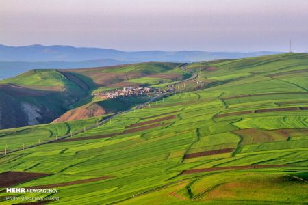  اخبارگوناگون,خبرهای گوناگون ,دشت مغان