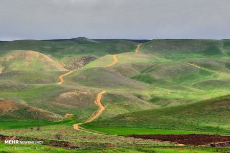  اخبارگوناگون,خبرهای گوناگون ,دشت مغان