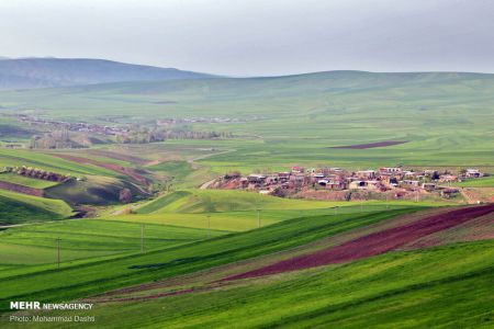  اخبارگوناگون,خبرهای گوناگون ,دشت مغان