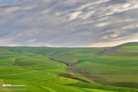  اخبارگوناگون,خبرهای گوناگون ,دشت مغان