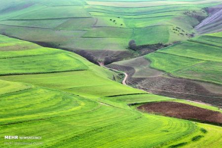  اخبارگوناگون,خبرهای گوناگون ,دشت مغان