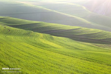  اخبارگوناگون,خبرهای گوناگون ,دشت مغان