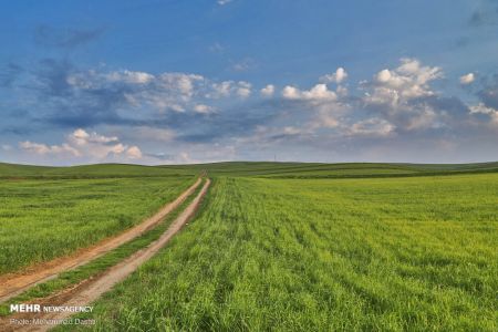  اخبارگوناگون,خبرهای گوناگون ,دشت مغان