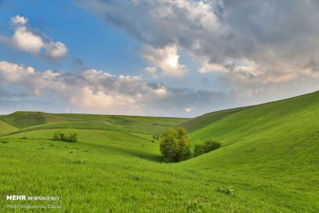  اخبارگوناگون,خبرهای گوناگون ,دشت مغان