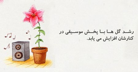  اخبارگوناگون,خبرهای گوناگون , حقایقی جالب و عجیب